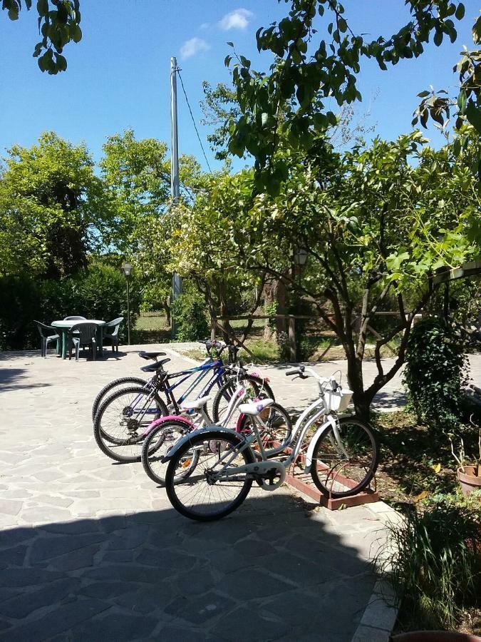 Country House L'Ippocastano Altavilla Silentina Екстериор снимка